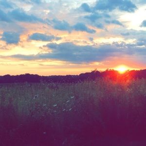 Meet your Posher, Jade